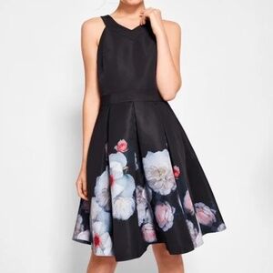 Ted Baker Jelina Chelsea Skater Dress - Size 4